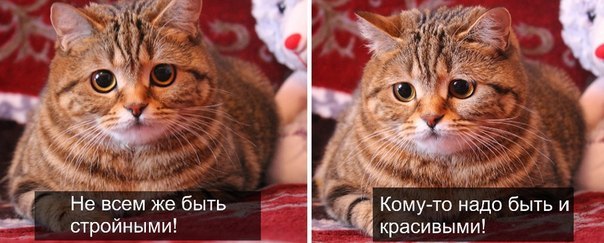 30a21855ce284d39a16d5b88430a9051.jpg