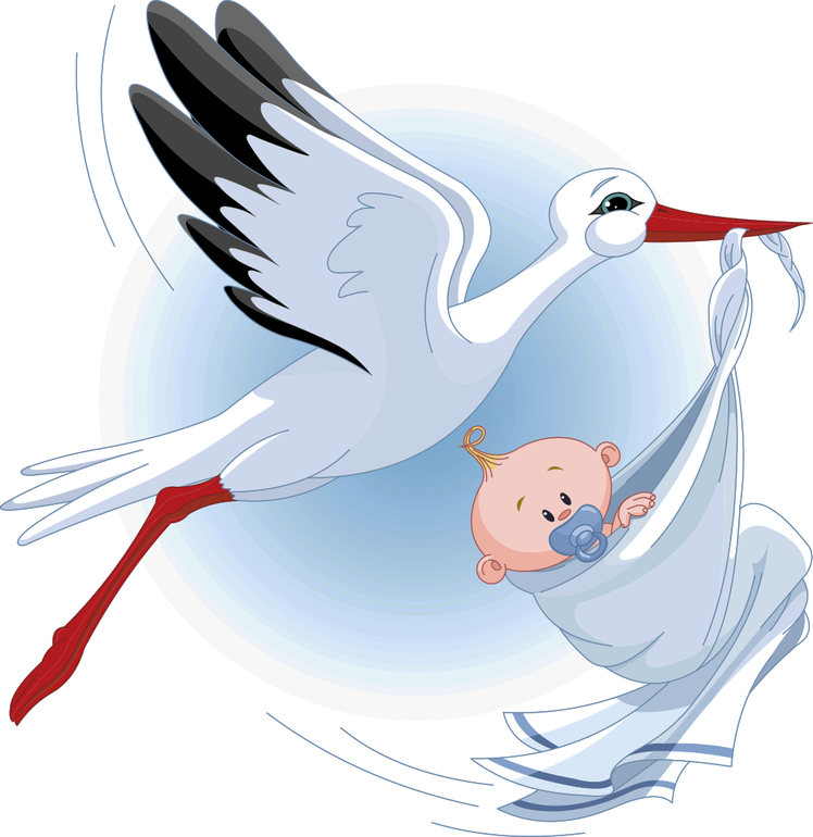 d64a855dd5cdb2f47f5ff8a9516a356d.png