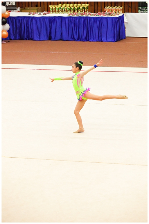 V. Pécs Cup 2013