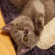 Татьяна