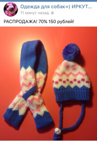 одежда для той-терьера