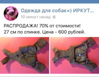 одежда для той-терьера