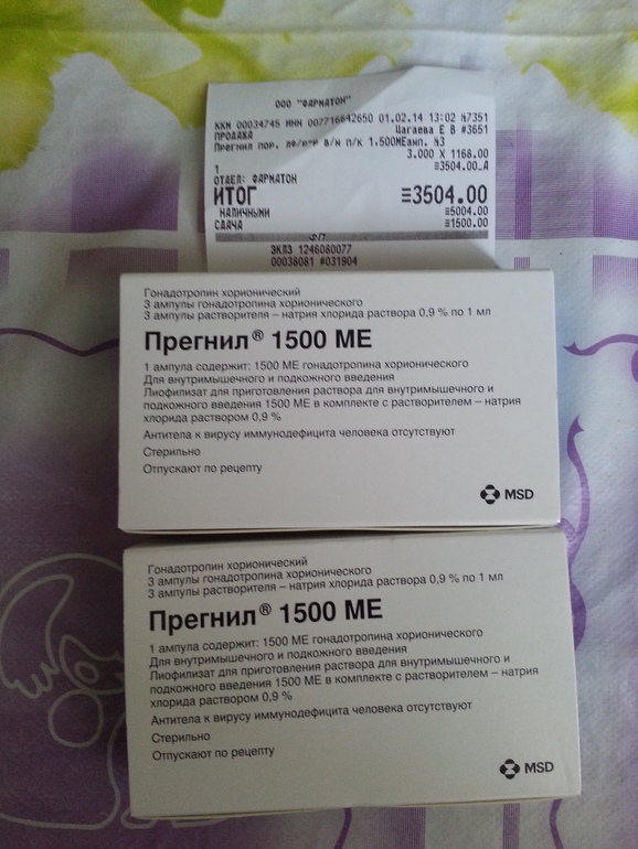 Продам Прегнил