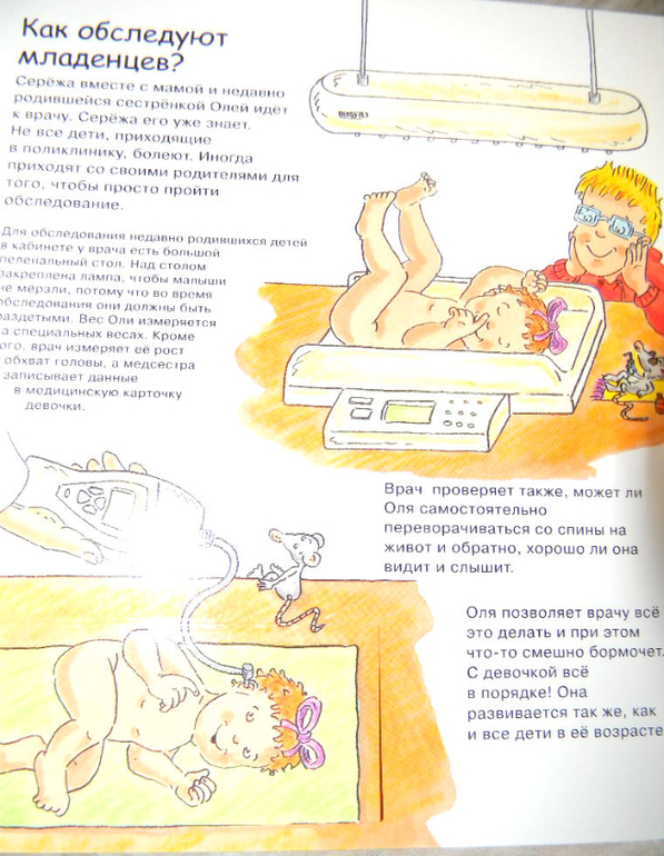 анатомия