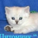 Татьяна (briakvamarin)