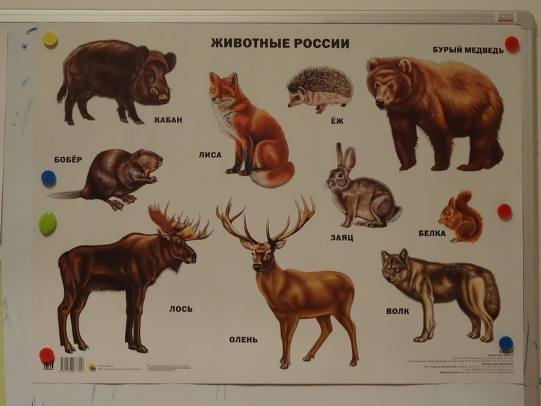 ТН