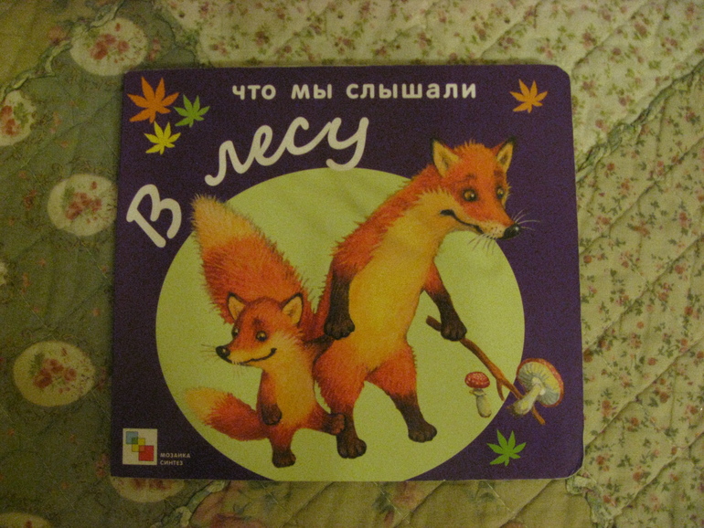 Наши книжки (1 год 6 месяцев)