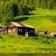 Альбина