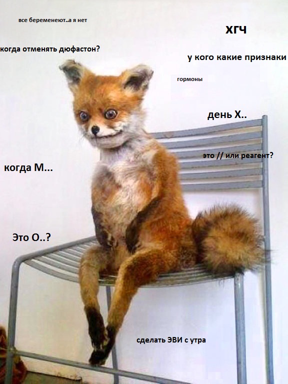 Сегодня на хгч...