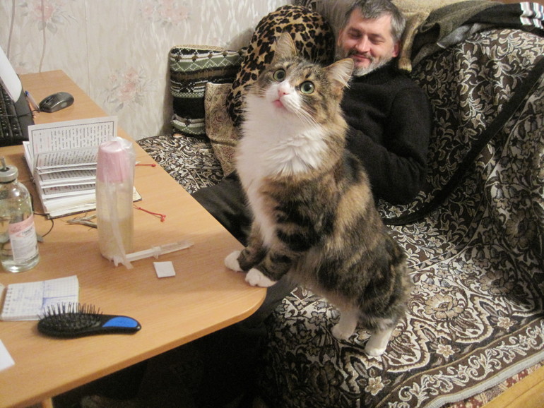 Воскресное утро