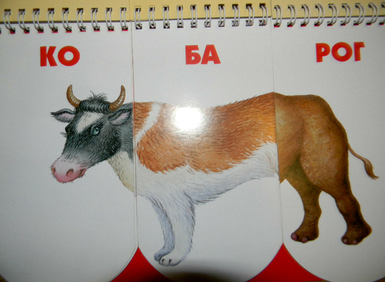 ЖИНЕВОТЫ -мой отзыв о книге...