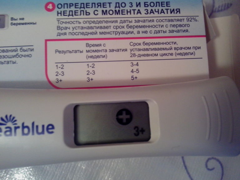 я не выдержала и тоже купила тест Clearblue:)