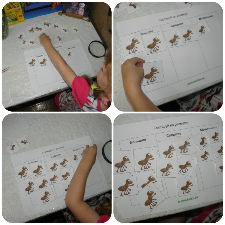 ТЗ Муравей — 9 ответов | форум Babyblog