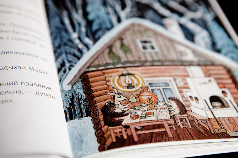 Зимние книги, которые живут в нашем доме.