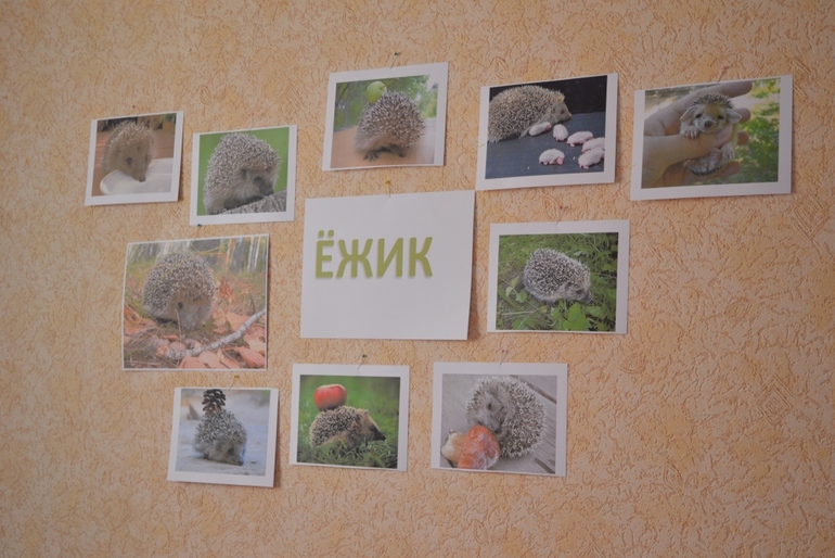 Тематические дни