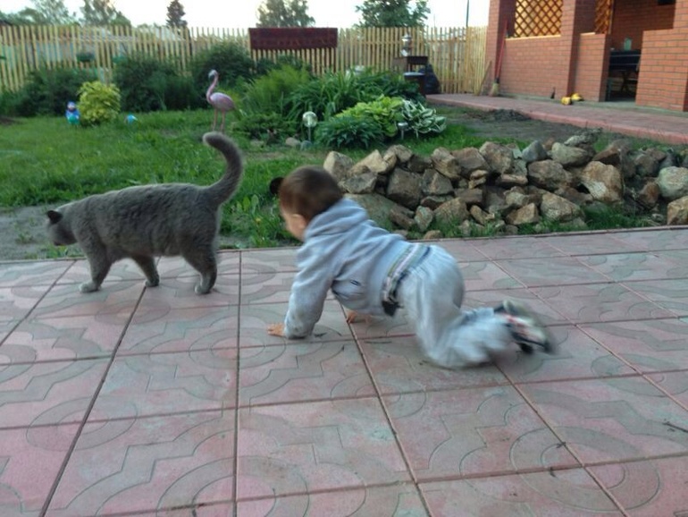 Мы вернулись!)))