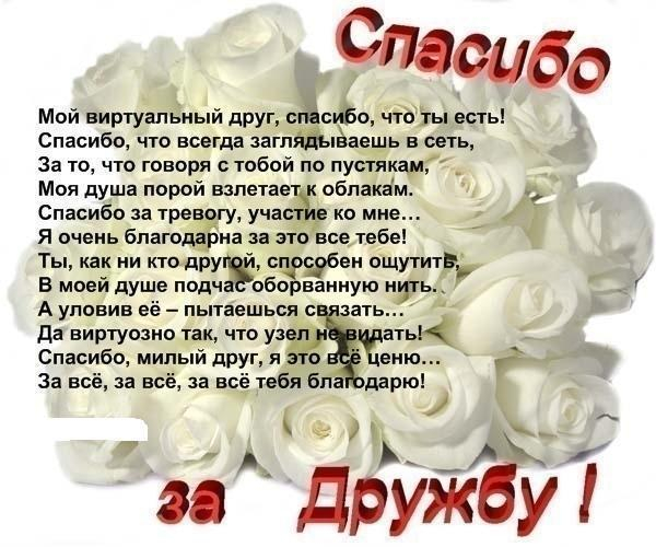 Закрываю на замок.