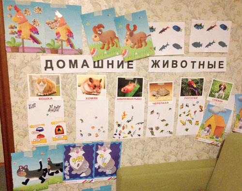 df079c2e1dd6f5349ce5fdcaf4bec0f4.jpg