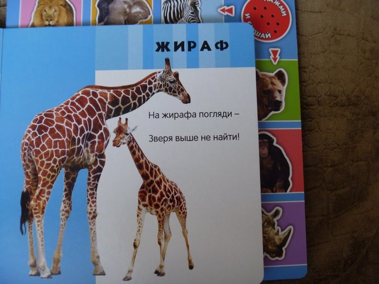 Шок цена на серию книг от издательства Азбукварик