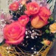 Светлана Федорова