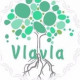 vlavla