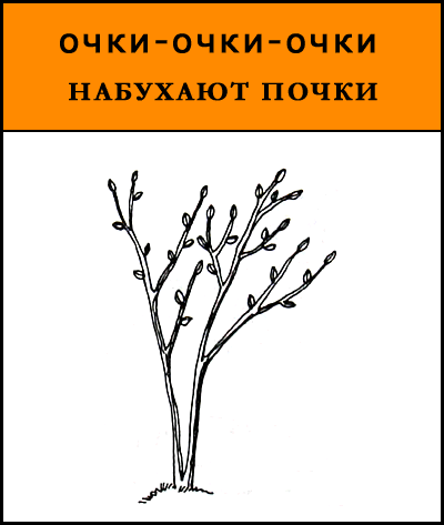 Чистоговорки