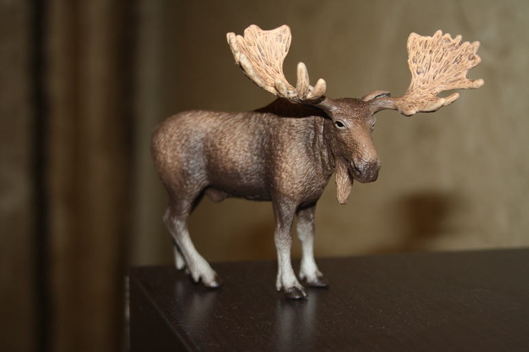 Djeco, Schleich, Larsen. Наши очередные приобретения.
