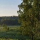 Рамиля Адигамова