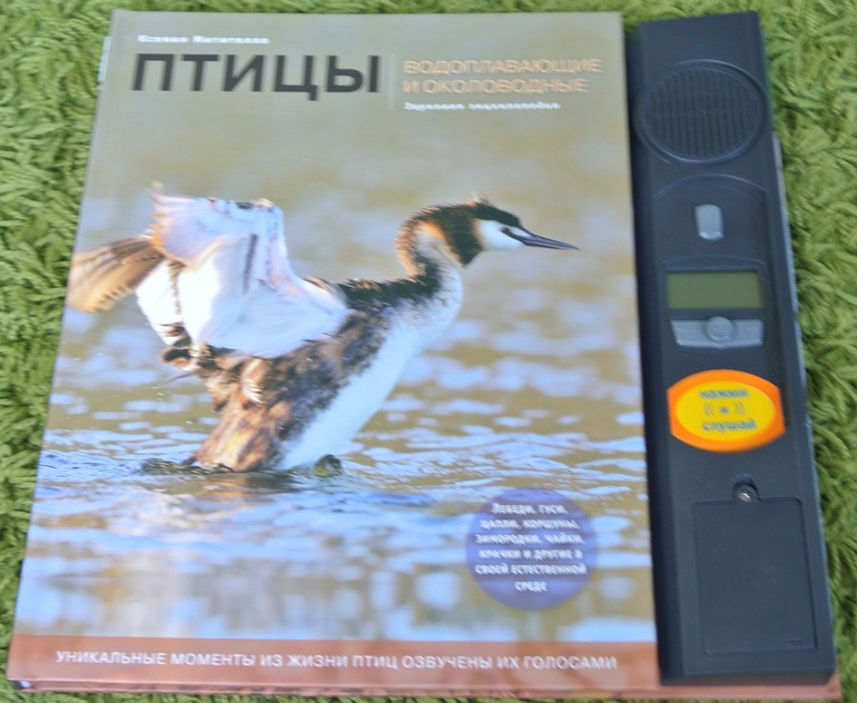 Птицы водоплавающие и околоводные