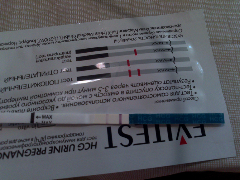 Последние тесты. 18 ДПО.