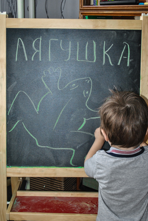 ТЗ Лягушка