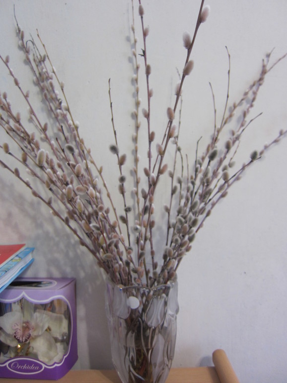 Как бы Шичида, 20.03.14