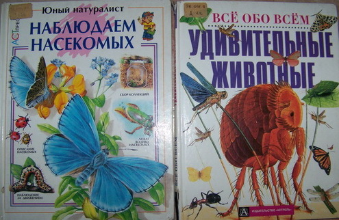 02e70270ad6b4812e2abb461cc7fd024.jpg