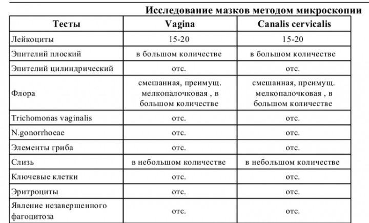 Женские мазки на флору под микроскопом фото с описанием