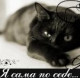 Linalina