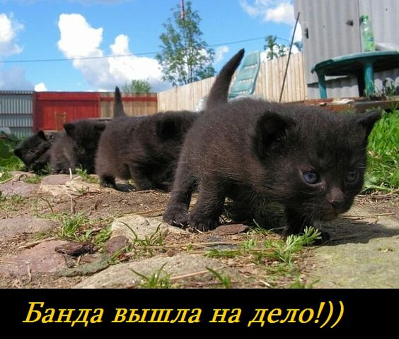 Доза позитива и жизненных данностей.