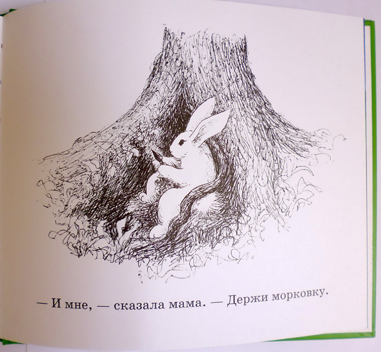 Все о кролике Питере и другие наши зайцы-иностранцы