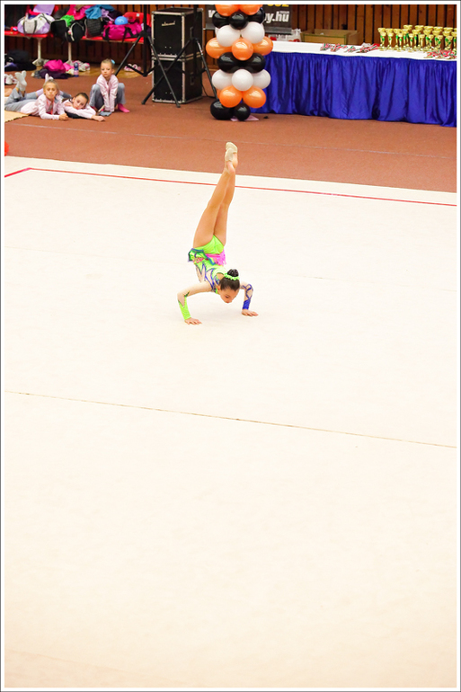 V. Pécs Cup 2013