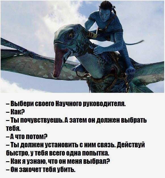 About tutors