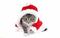 ЕлЕнКа