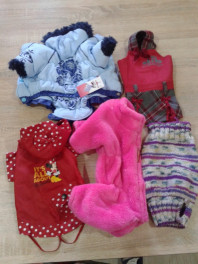 Комплект одежды для маленькой собачки р-р 26-28