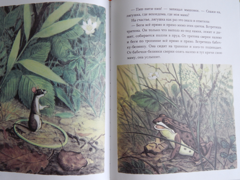 Книги (май).