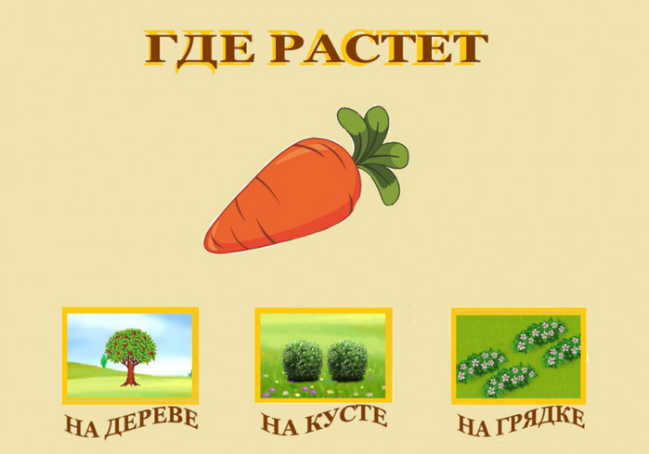 Овощи которые растут над и под землей 2 класс русский язык презентация