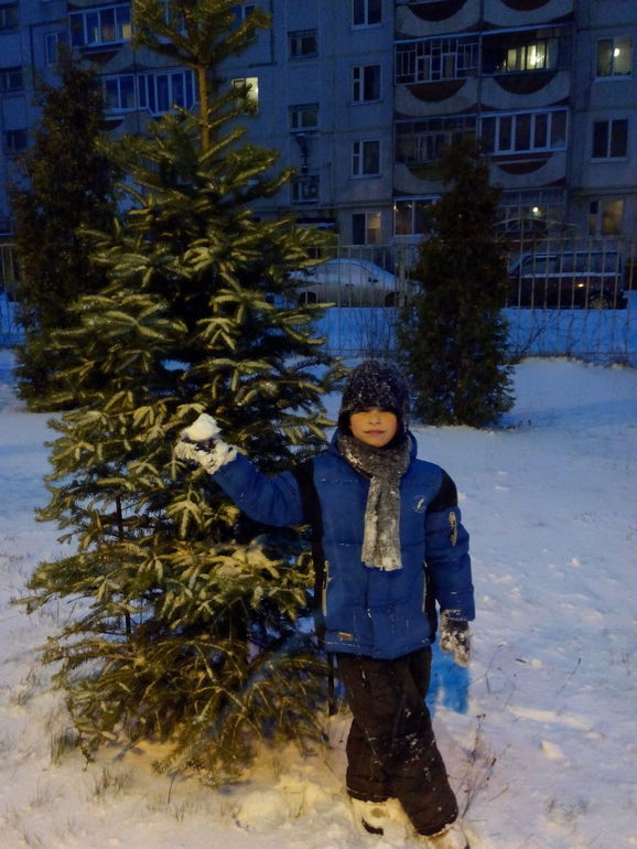 Первые зимние прогулки