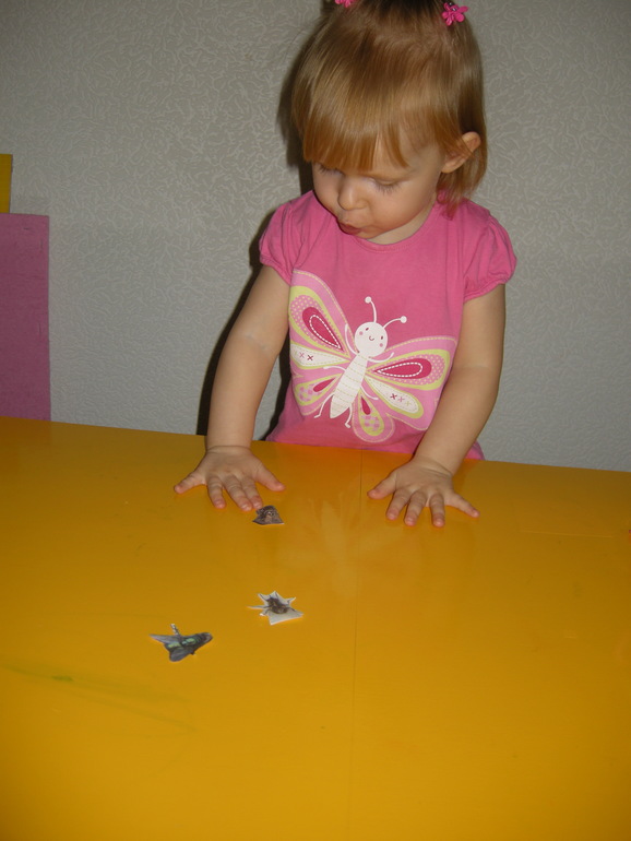 c8c60088579befe0d09ed130decd3ab8.jpg
