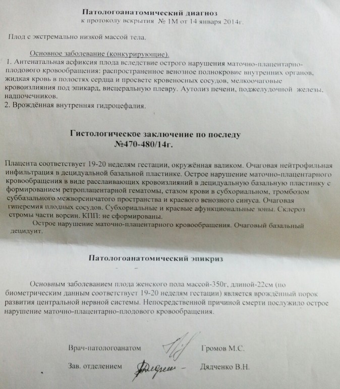 результаты гистологии