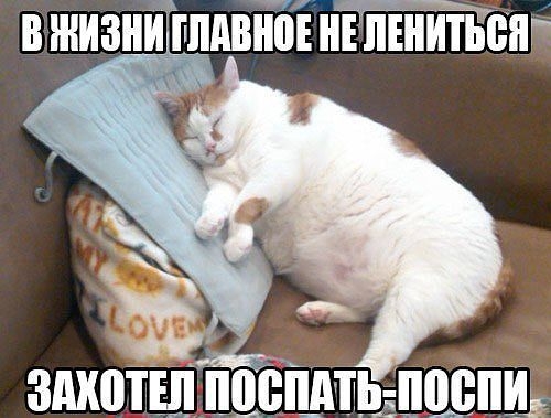 Кайф какой!