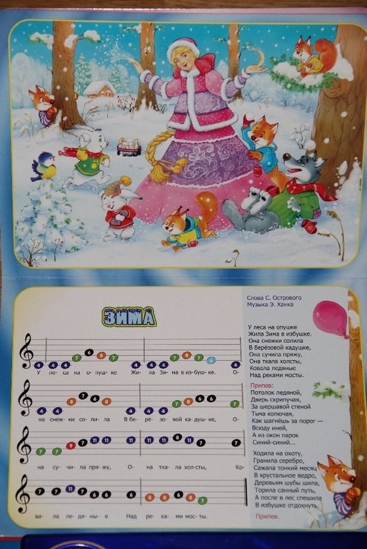 Новогодние музыкальные книги