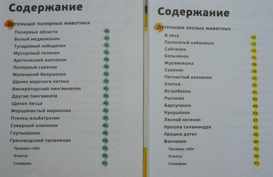 Июньское прочитанное!