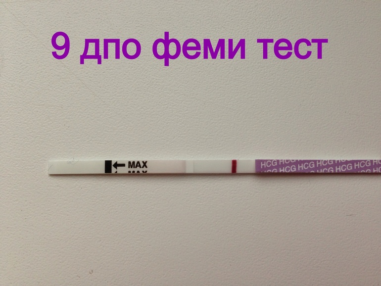 Напишем ? ,,,  признаки у кого какие ?
